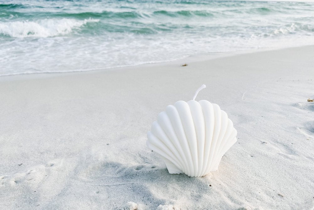Scallop Shell Candle